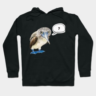 Puzzled booby Hoodie